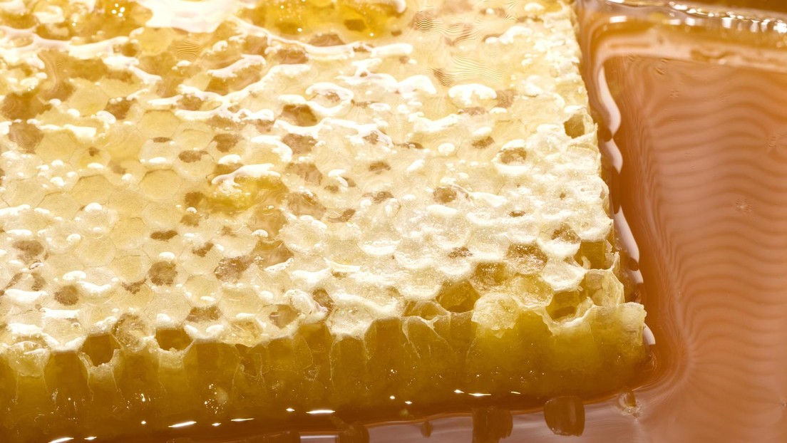 Süß gekauft: Lettische Verkehrspolizisten mit 50 Kilo Honig bestochen