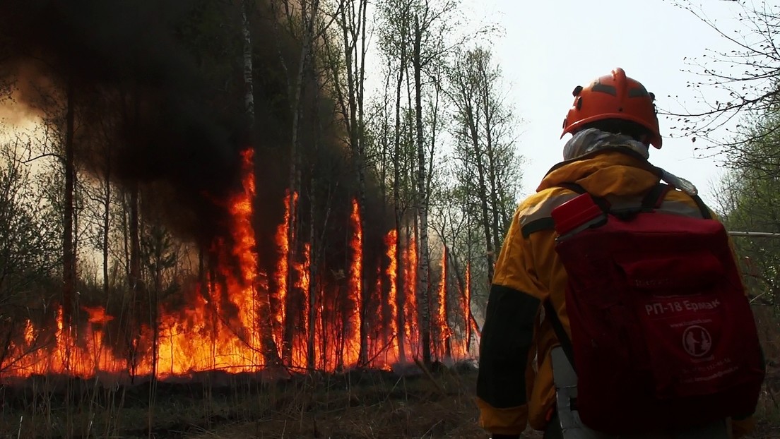 Anhaltende Waldbrände in Jakutien - Qualm erreicht Nordpol und Gebiete im Ural