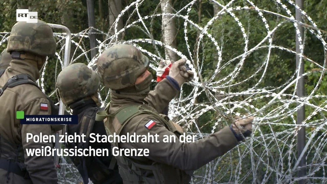 Polen zieht Stacheldraht an der weißrussischen Grenze