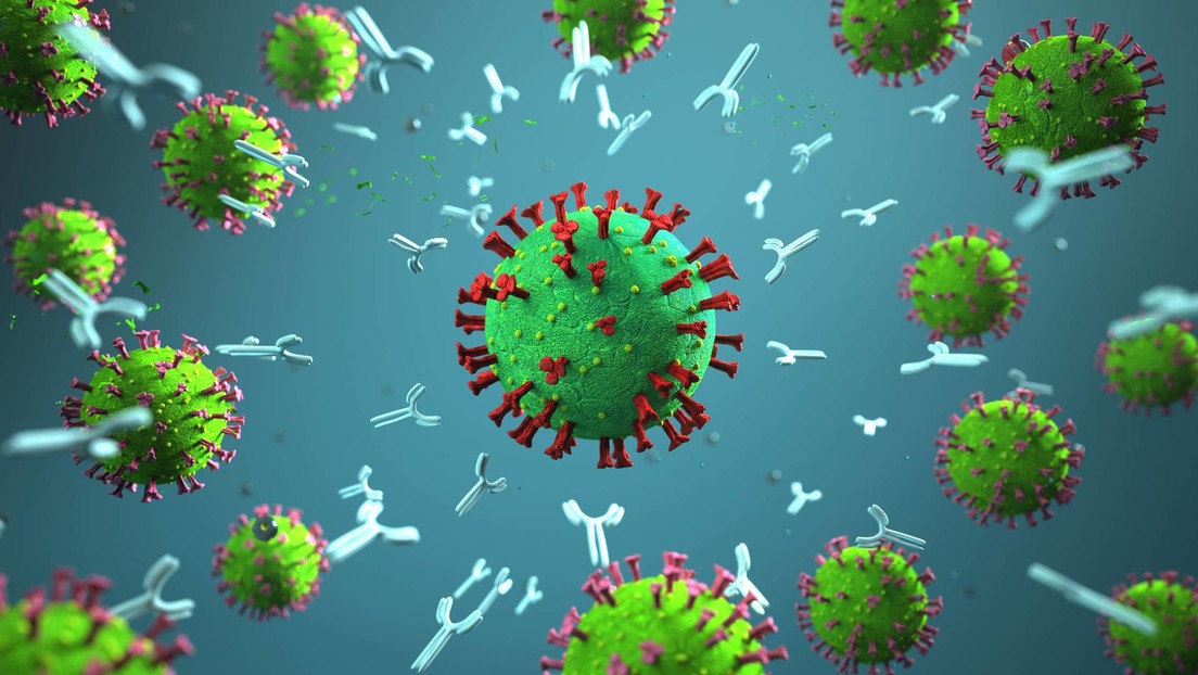 Neue Studien belegen: Grippe-Impfung kann gegen Symptome von COVID-19 helfen