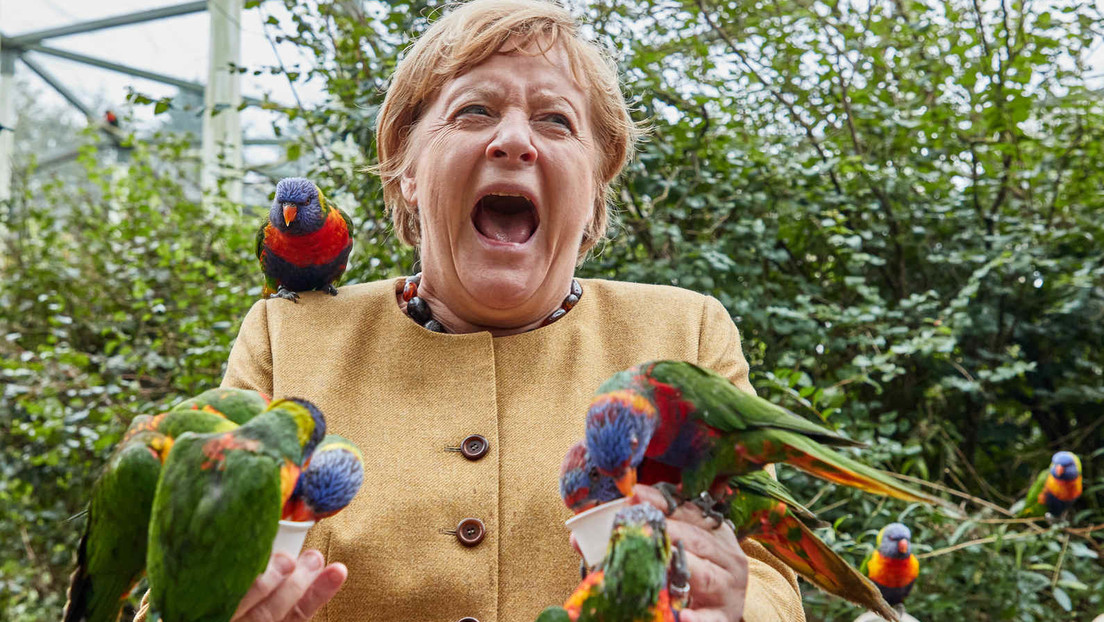 Kurz vor "ihrem Abflug" – Angela Merkel besucht Vogelpark Marlow