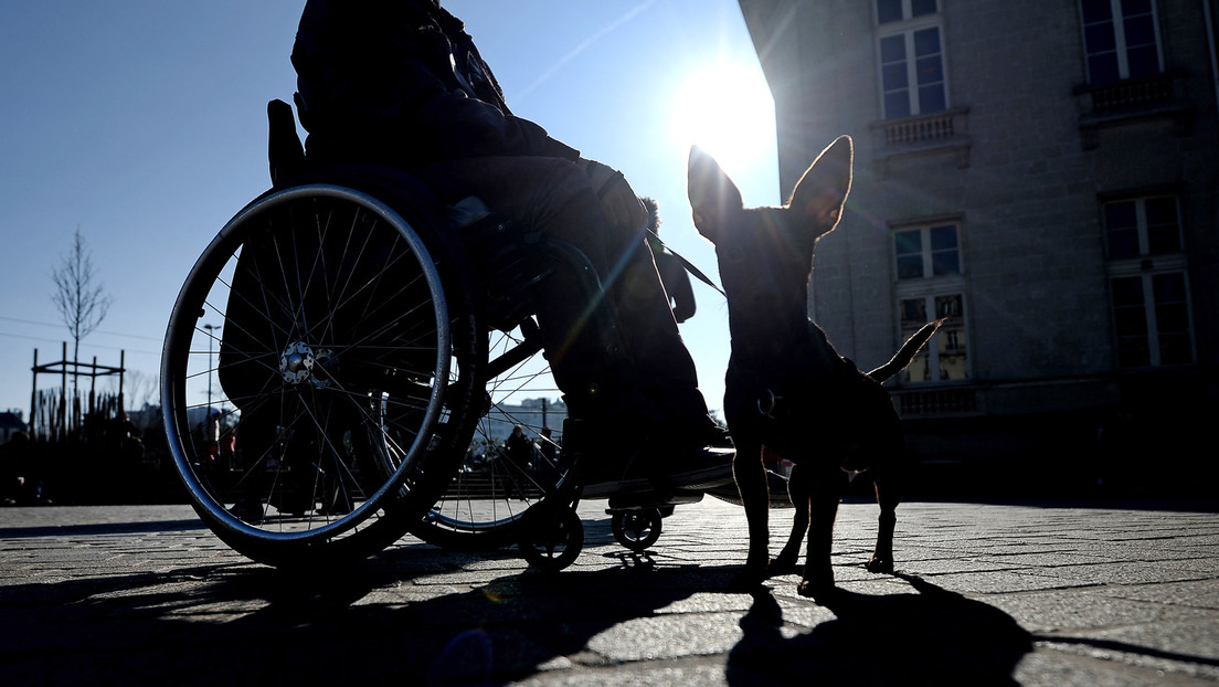 Rollstuhlfahrer verteidigt seinen Vierbeiner vor Hundemeute