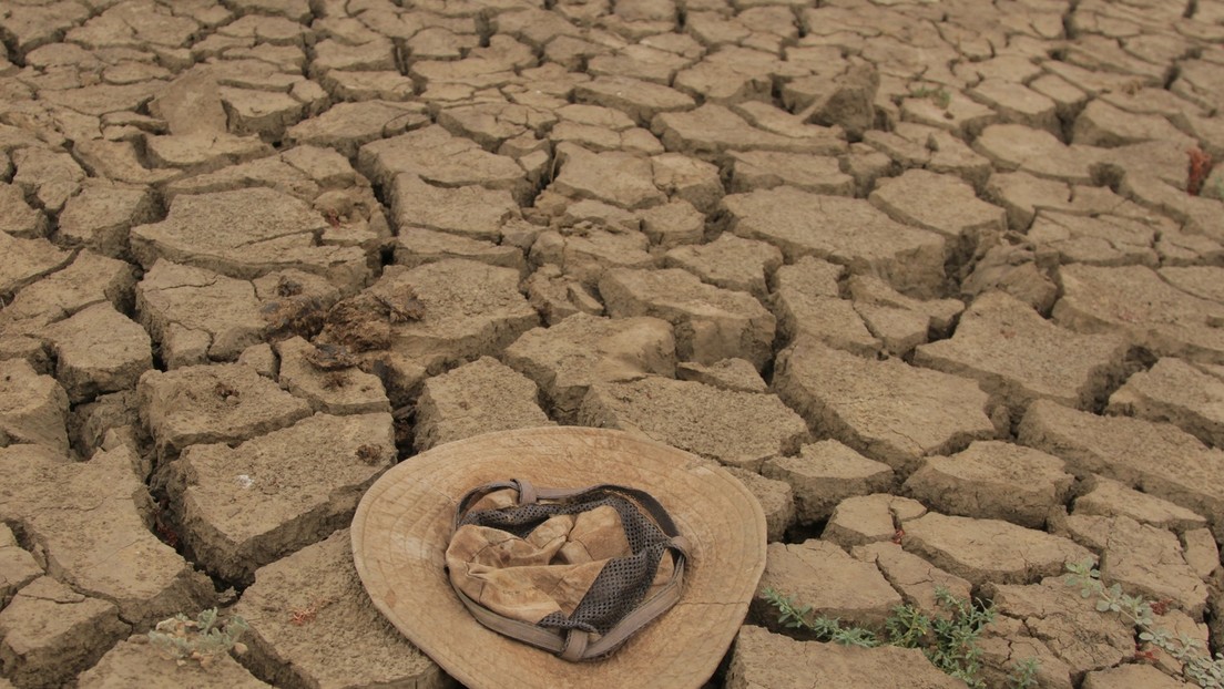 Globaler Hunger steigt drastisch aufgrund von Krieg, Klimawandel und Corona-Maßnahmen