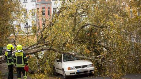 Herbststurm "Ignatz": Lokführer wird in Brandenburg von herabstürzendem Ast erschlagen