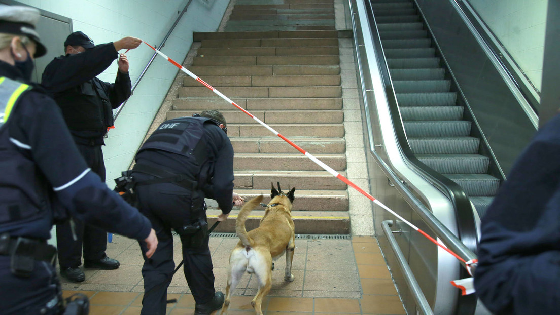 Tierschutz: Der Polizei fehlen Hunde seit das Training schmerzfrei sein muss