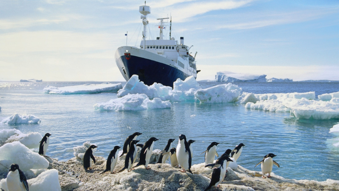 Antarktis: Nicht heimische Meereslebewesen kommen mit Schiffen und gefährden das Ökosystem