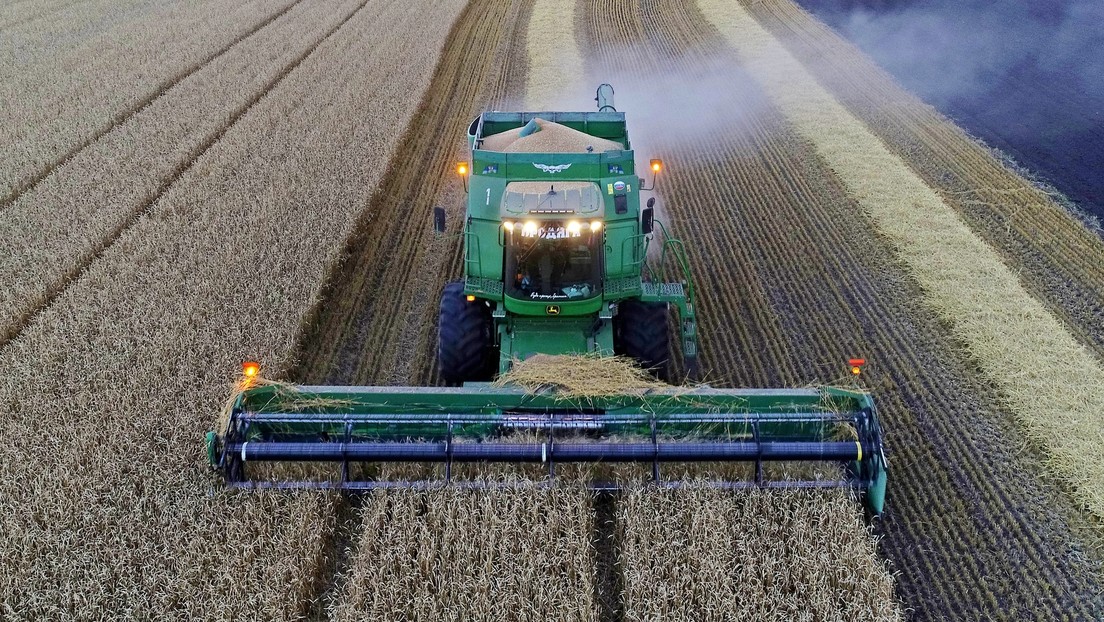 Inmitten globaler Nahrungsmittelkrise: Russland verzeichnet schlechteste Getreideernte seit Jahren