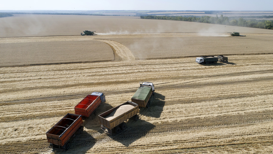 Partnerschaft "ohne Grenzen": China öffnet Weg für die Einfuhr von Weizen aus allen Teilen Russlands