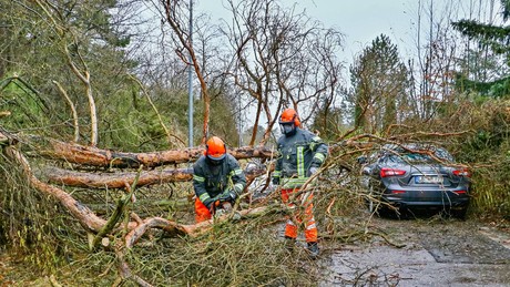 Sturm aus dem Westen – Warnung des Wetterdienstes