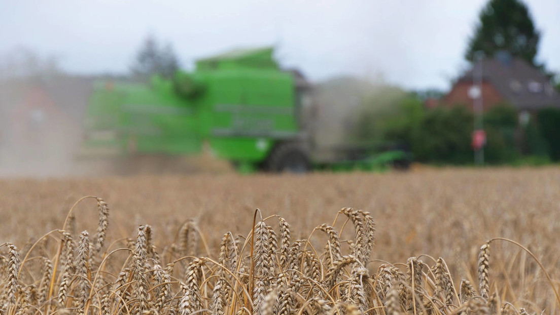 Ungarn verbietet Getreideexporte