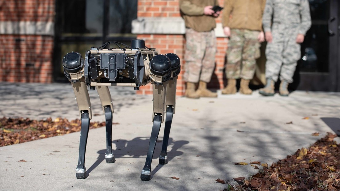 Bald auch in Deutschland? "Roboterhunde" patrouillieren um US-Stützpunkte in Oregon und Florida
