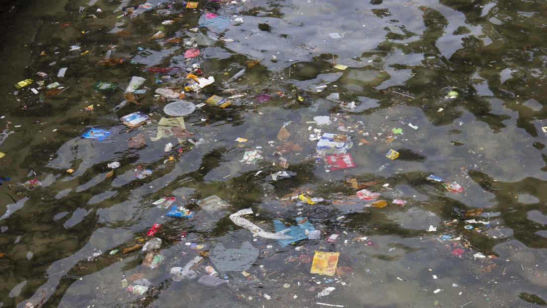 Tiefsee wird zu einem "Endlager des Mülls" – Neue Studie über Plastikverschmutzung der Ozeane