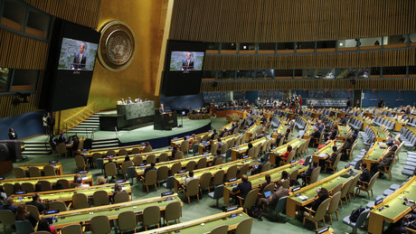 Die UNO ist nicht mehr zweckdienlich, aber sollte sie abgeschafft oder reformiert werden?