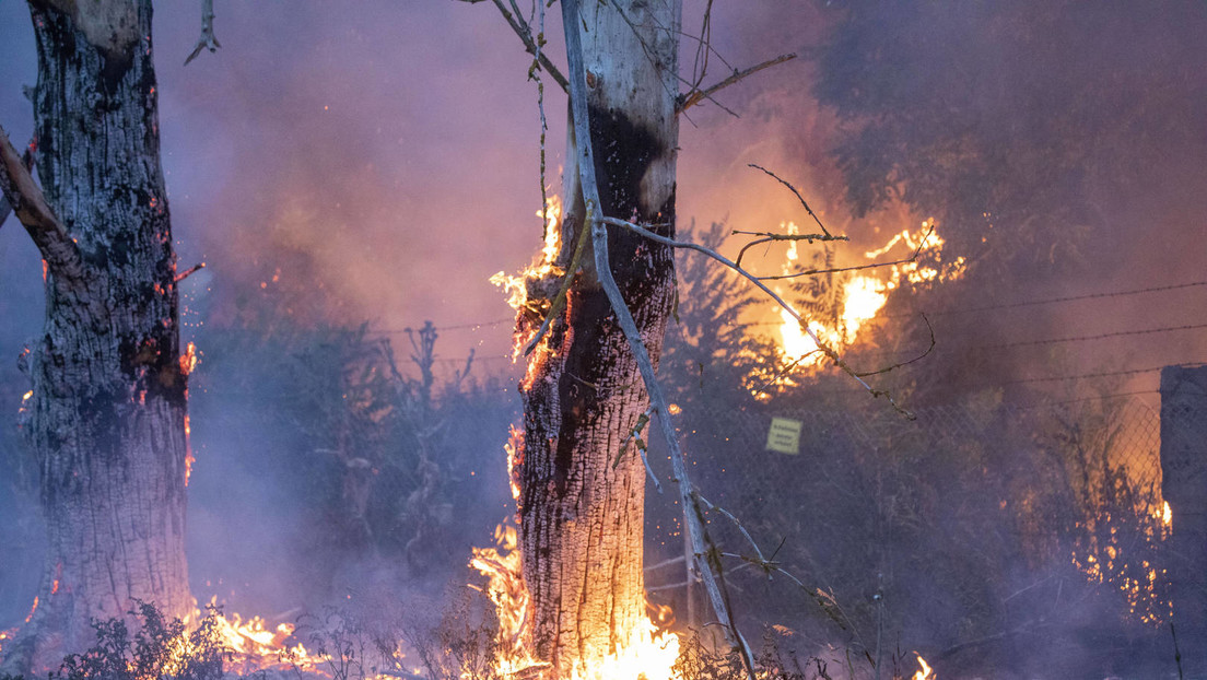Neufundland: Größter Waldbrand seit 60 Jahren