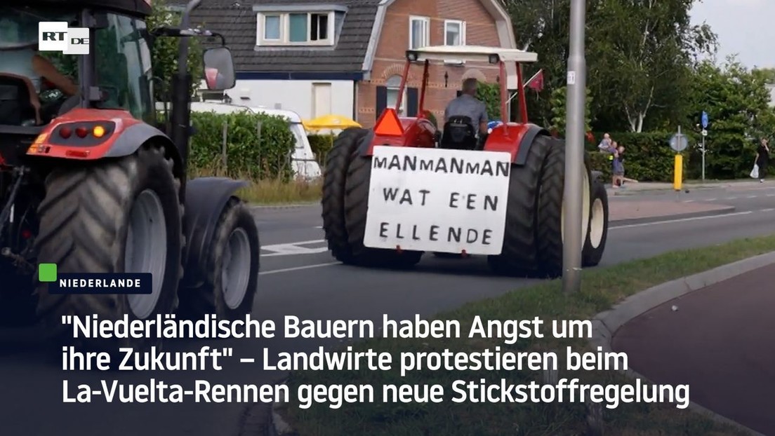 "Niederländische Bauern haben Angst" – Landwirte protestieren gegen neue Stickstoffregeln