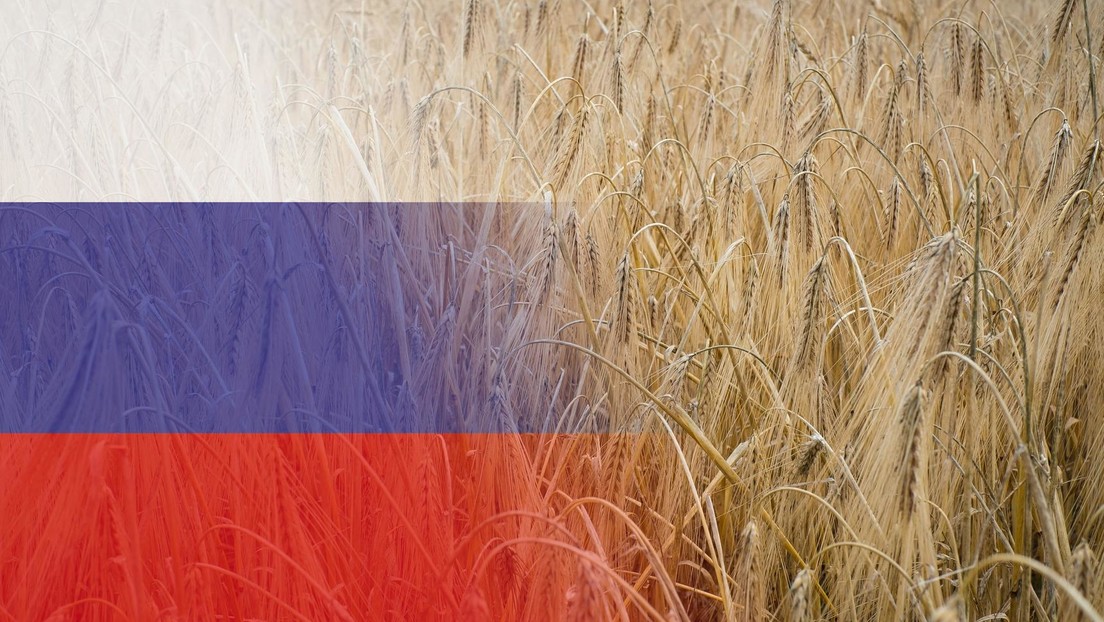 Corriere della Sera: Russlands landwirtschaftliche Entwicklung ist Putins heimlicher Triumph