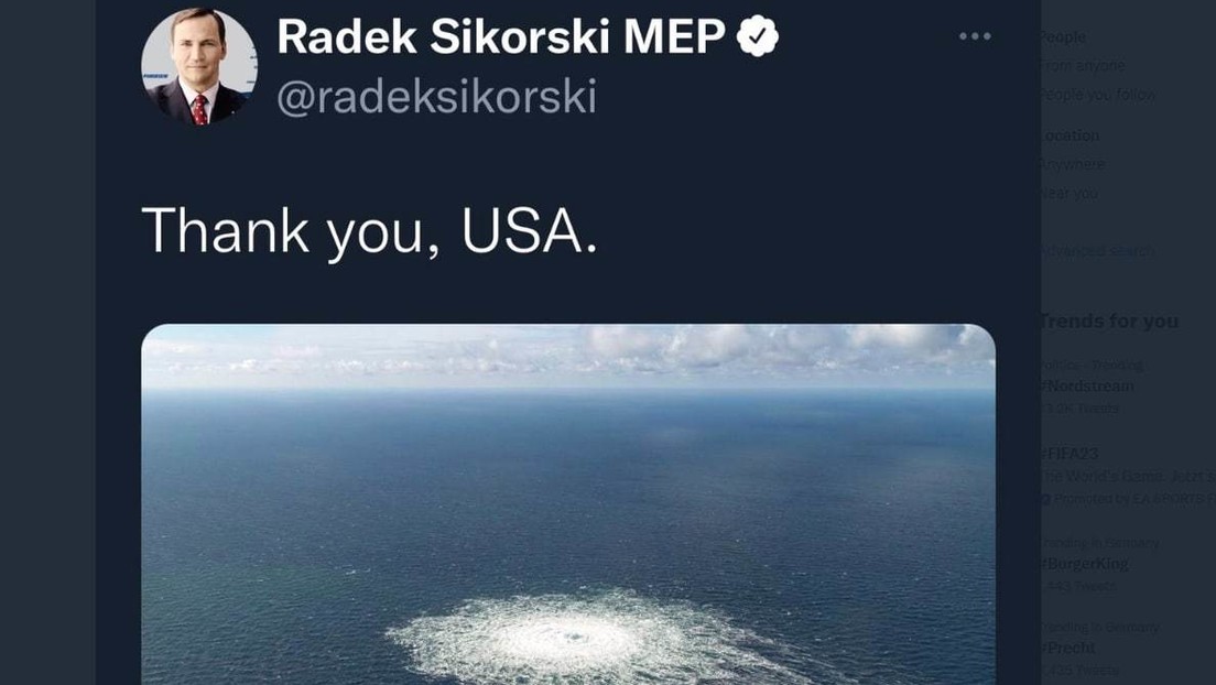 Sikorskis "Thank you, USA": Getwittert, gelöscht, unsterblich