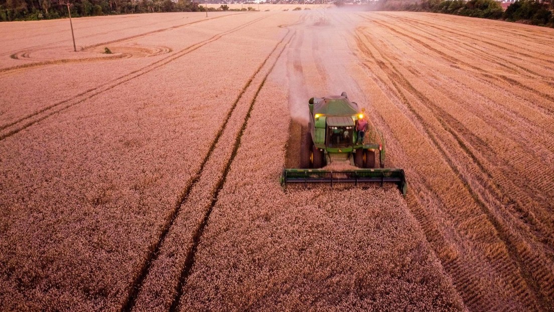 Bloomberg: Ukraine-Getreideabkommen könnte scheitern