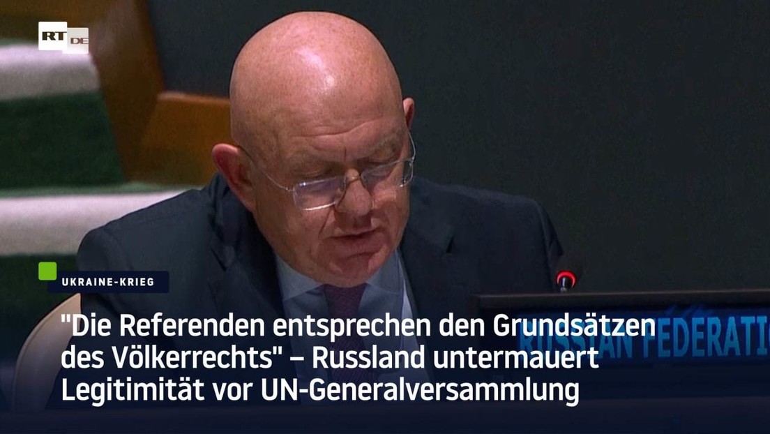 "Die Referenden entsprechen den Grundsätzen des Völkerrechts" – Nebensja vor UN-Generalversammlung