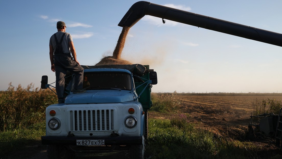 "Wegen anhaltender Exportbeschränkungen" – Russland könnte aus dem Getreideabkommen aussteigen