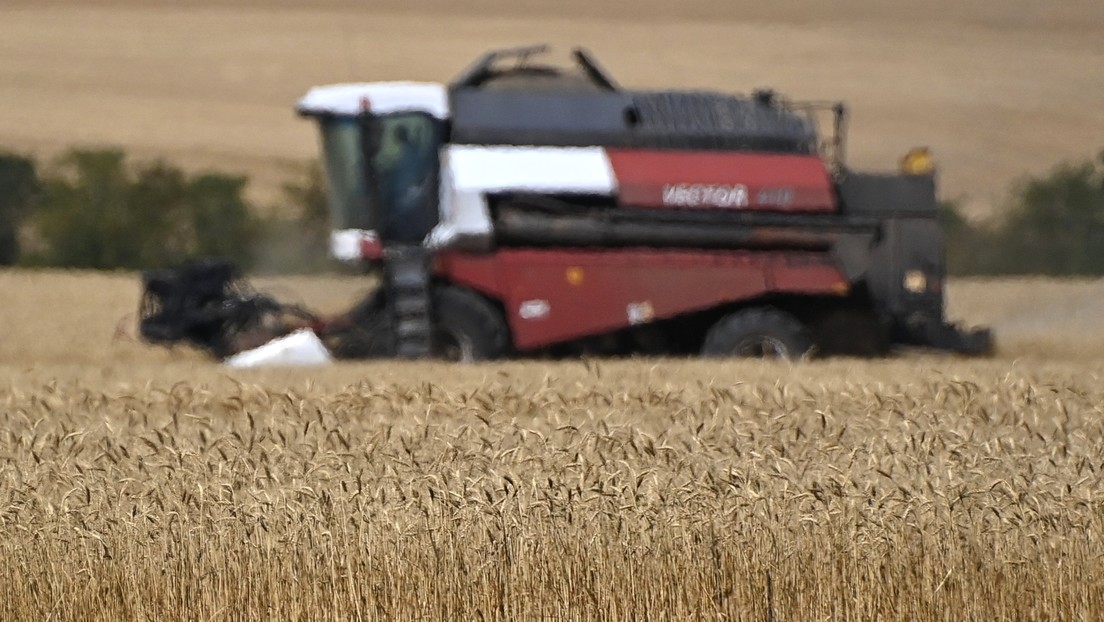 Mehr als 80 Prozent aller Getreidelieferungen aus der Ukraine gehen in Industrieländer