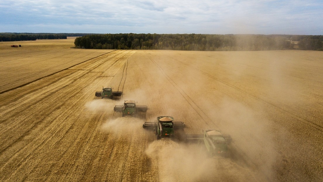 Russland verzeichnet Rekordernte bei Getreide