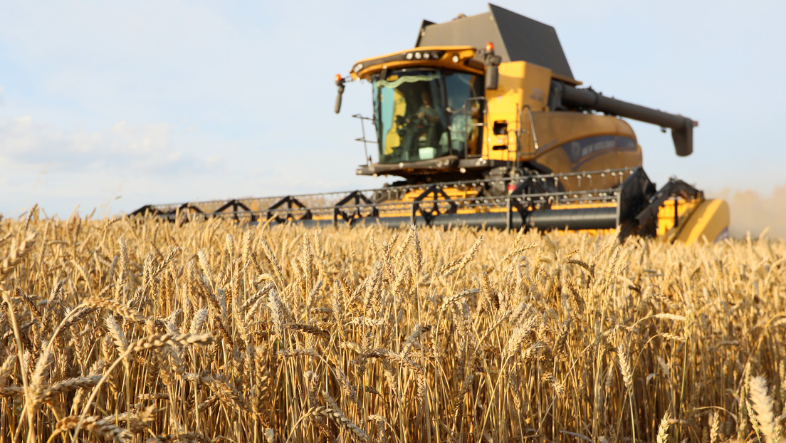 Russland reagiert auf Kritik an Aussetzung des Getreidedeals mit der Ukraine