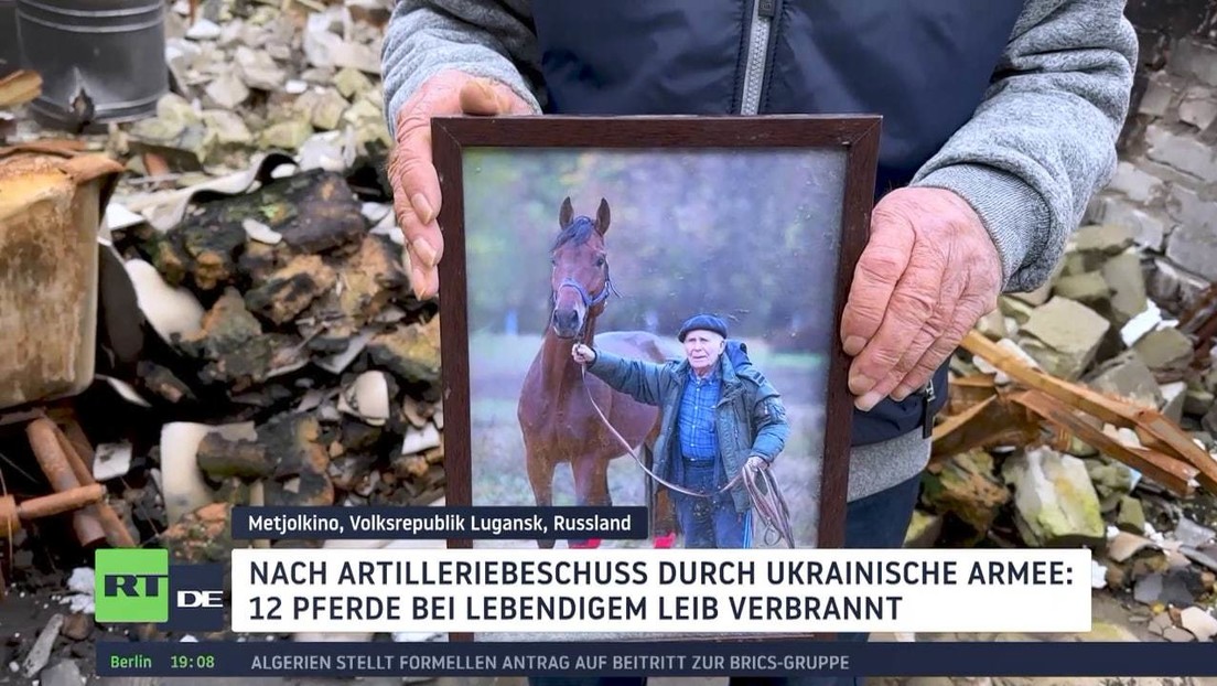 Nach Artilleriebeschuss durch ukrainische Armee: 12 Pferde bei lebendigem Leib verbrannt