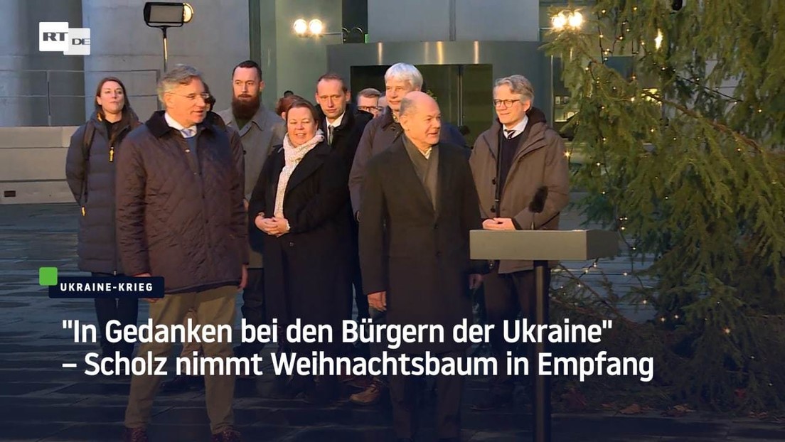 "In Gedanken bei den Bürgern der Ukraine" – Scholz nimmt Weihnachtsbaum in Empfang
