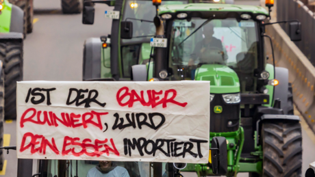 "Absolut inkompetente Regierung": Niederlande planen Zwangskauf von 3.000 Bauernhöfen