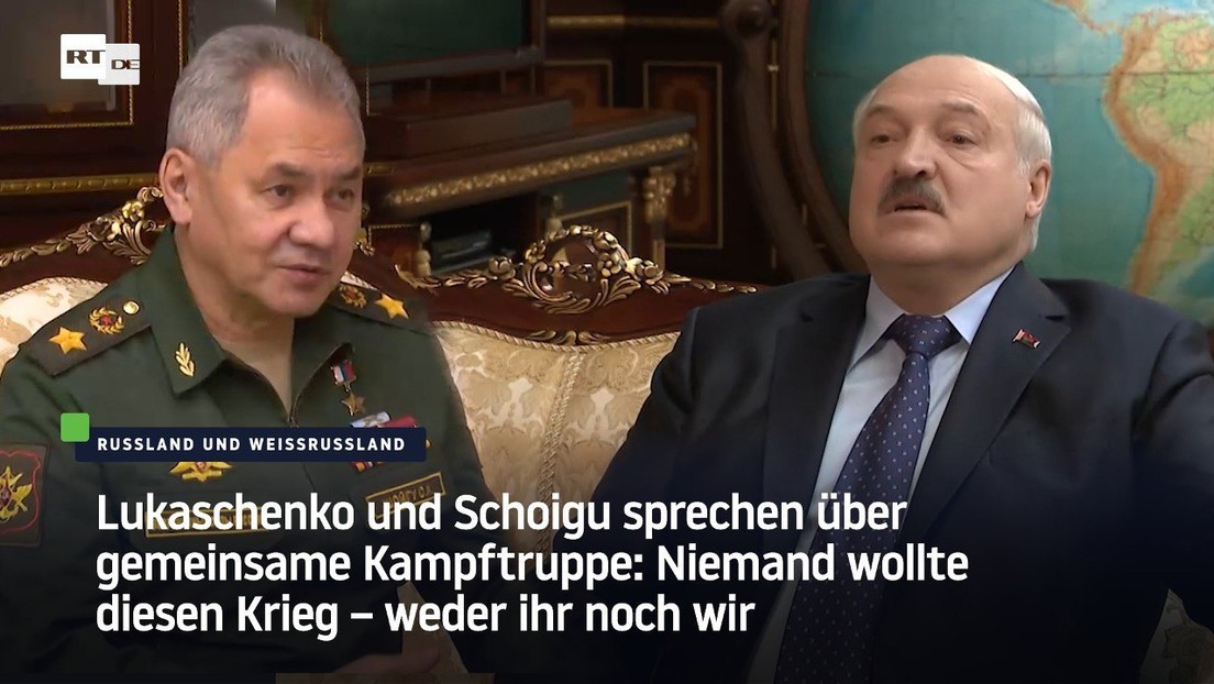 Lukaschenko und Schoigu sprechen über gemeinsame Kampftruppe: Niemand von uns wollte diesen Krieg