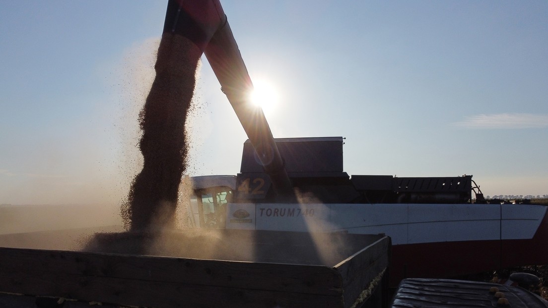 Drei russische Regionen schlagen Alarm: Ausländische Unternehmen führen Getreide illegal aus