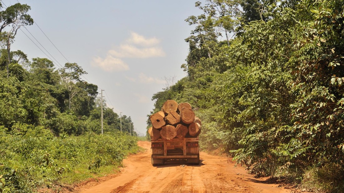 Umstrittener Abschiedsbeschluss: Bolsonaro-Regierung erlaubt Abholzung in indigenen Gebieten