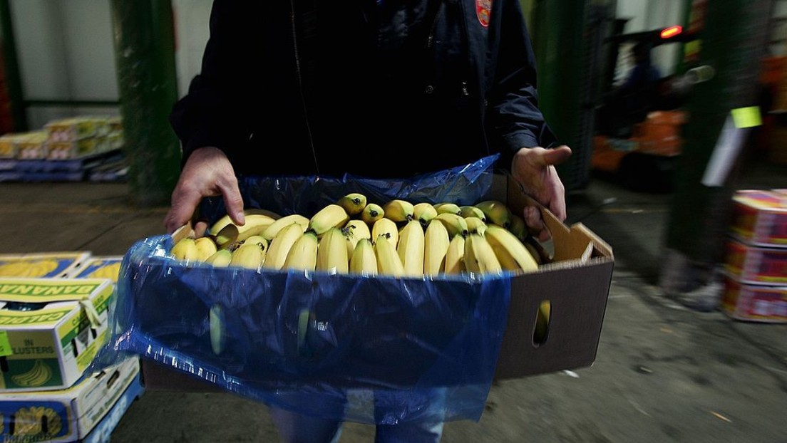 14 Kilo Kokain: Tafel-Mitarbeiter entdecken zwischen Bananen auffällige Tüten mit Mehl