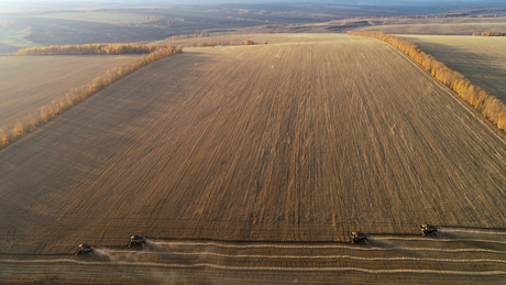 Russlands Landwirtschaftsministerium: Getreideernte auf über 150 Millionen Tonnen gestiegen