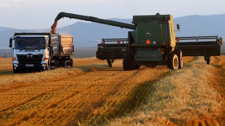 "Gelungenes Experiment": Russland beginnt mit Abrechnung von Getreide in Rubel