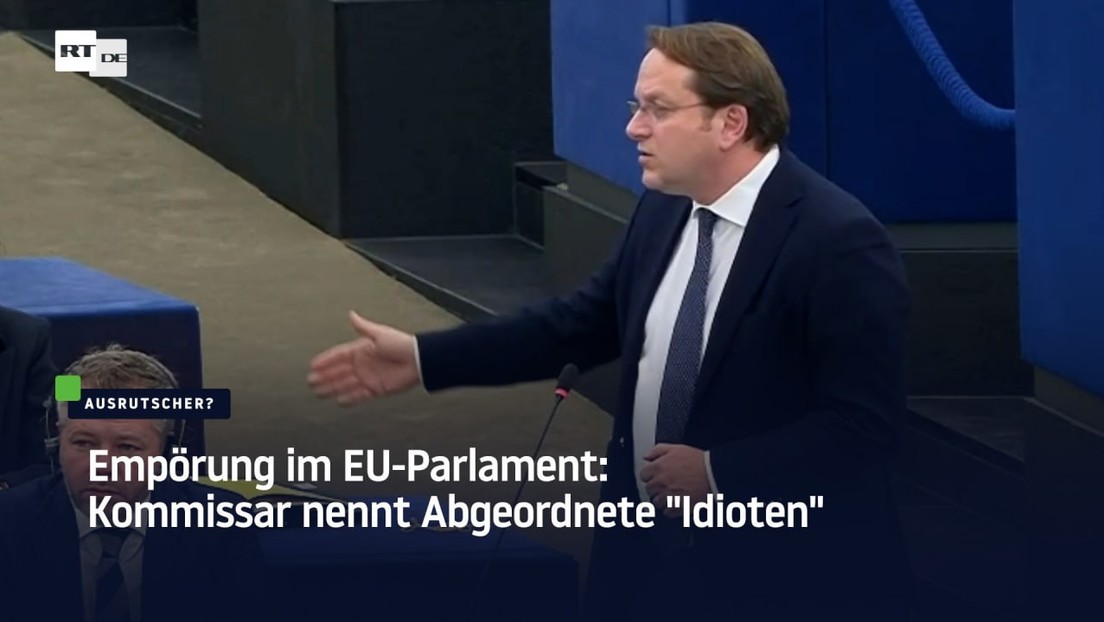 Empörung im EU-Parlament: Kommissar nennt Abgeordnete "Idioten"