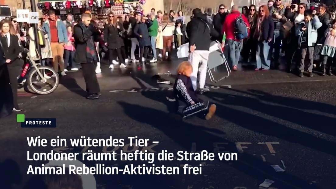 Wie ein wütendes Tier – Londoner räumt heftig die Straße von Animal Rebellion-Aktivisten frei