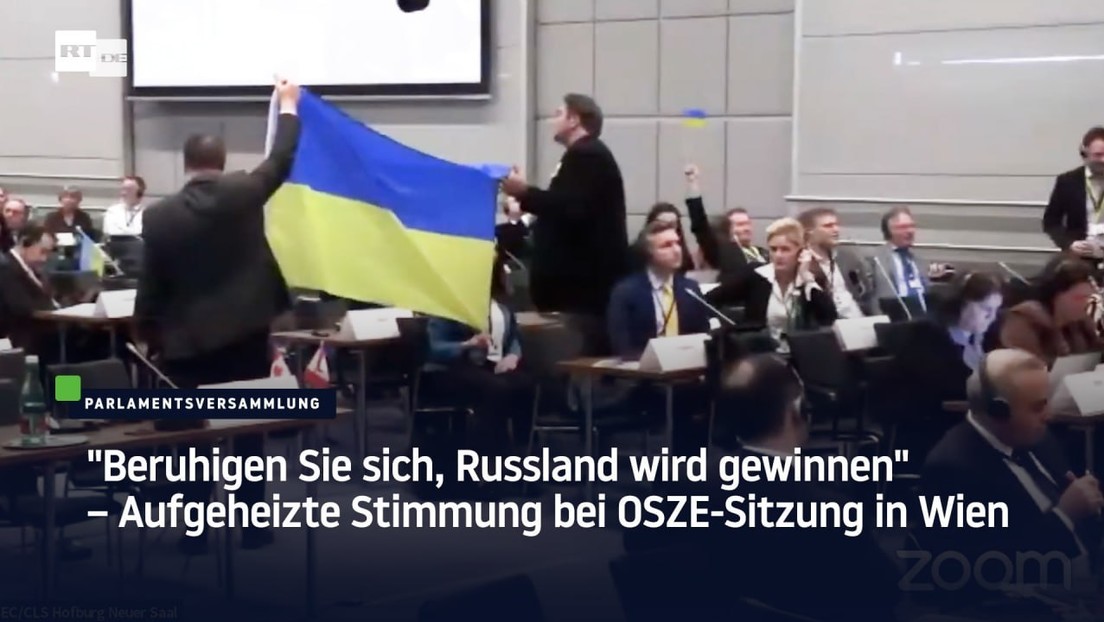 "Beruhigen Sie sich, Russland wird gewinnen" – Aufgeheizte Stimmung bei OSZE-Sitzung in Wien