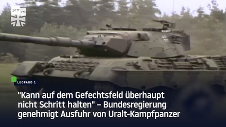 Ausfuhr von Uralt-Kampfpanzer genehmigt: 