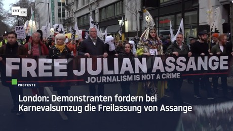 London: Demonstranten fordern bei Karnevalsumzug die Freilassung von Assange