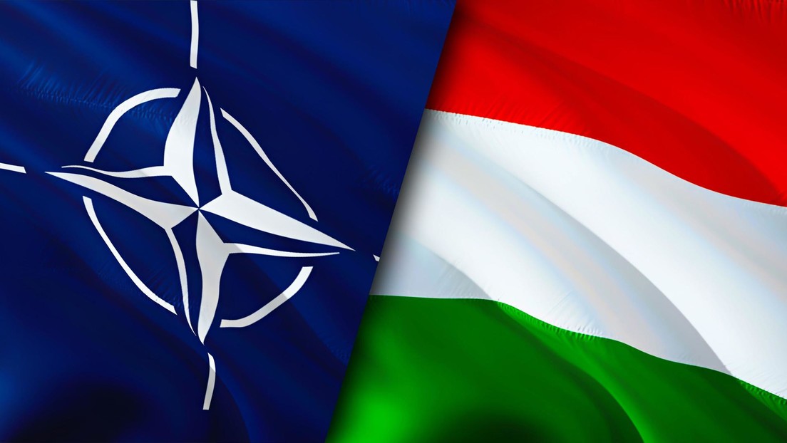 Ungarn zögert noch: Budapests Position zum NATO-Beitritt von Schweden und Finnland