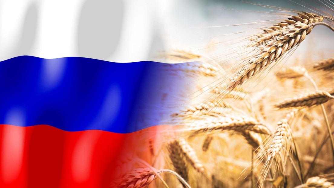 Wheat as a miracle weapon?  – Russia's record harvest and its impact on the world market
