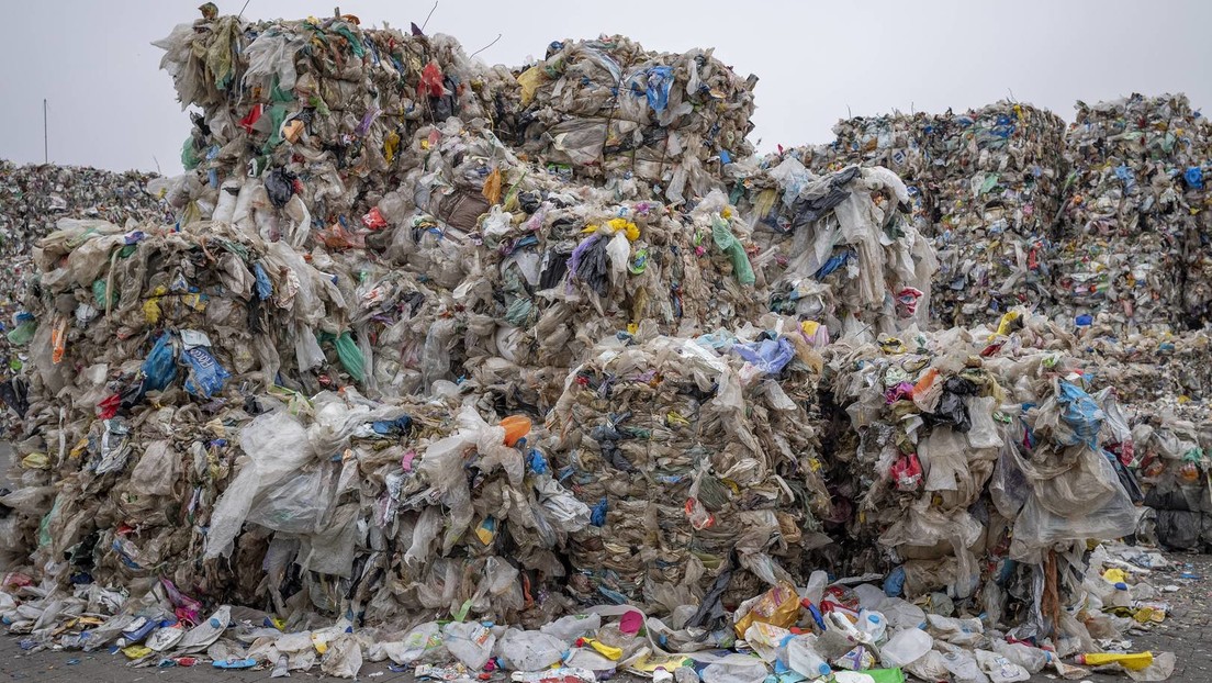 Mögliche Lösung für Müllproblem? Enzym zersetzt Plastik in Rekordgeschwindigkeit