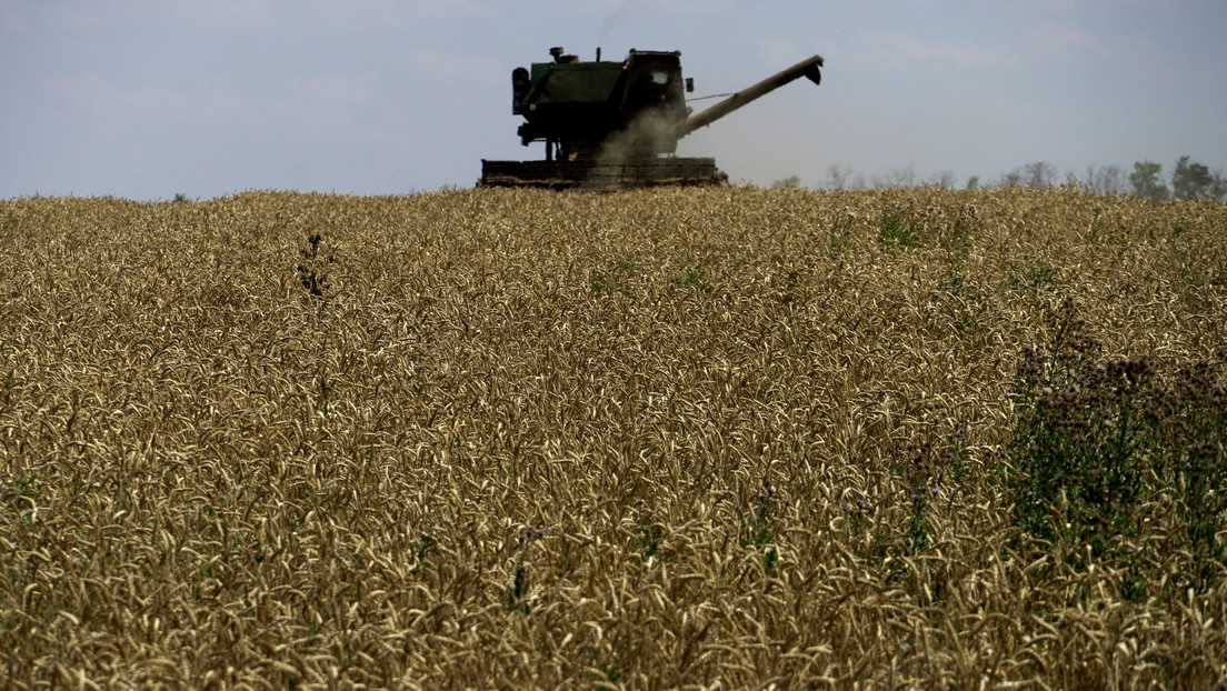 Polen und Rumänien: Brauchen Schutz vor billigen Getreideimporten aus der Ukraine