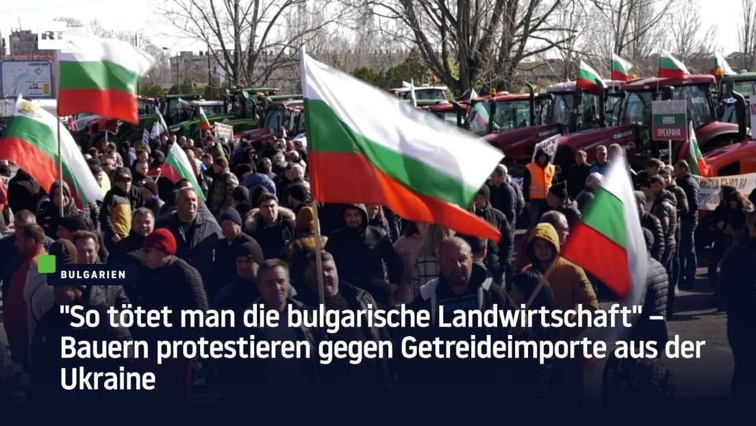 "So tötet man die bulgarische Landwirtschaft" – Bauernprotest gegen Getreideimporte aus der Ukraine