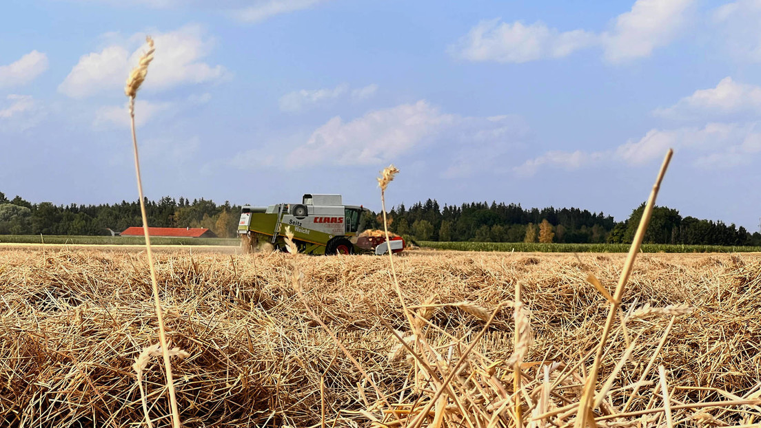 Gespräche über Verlängerung des Getreidedeals in Sackgasse