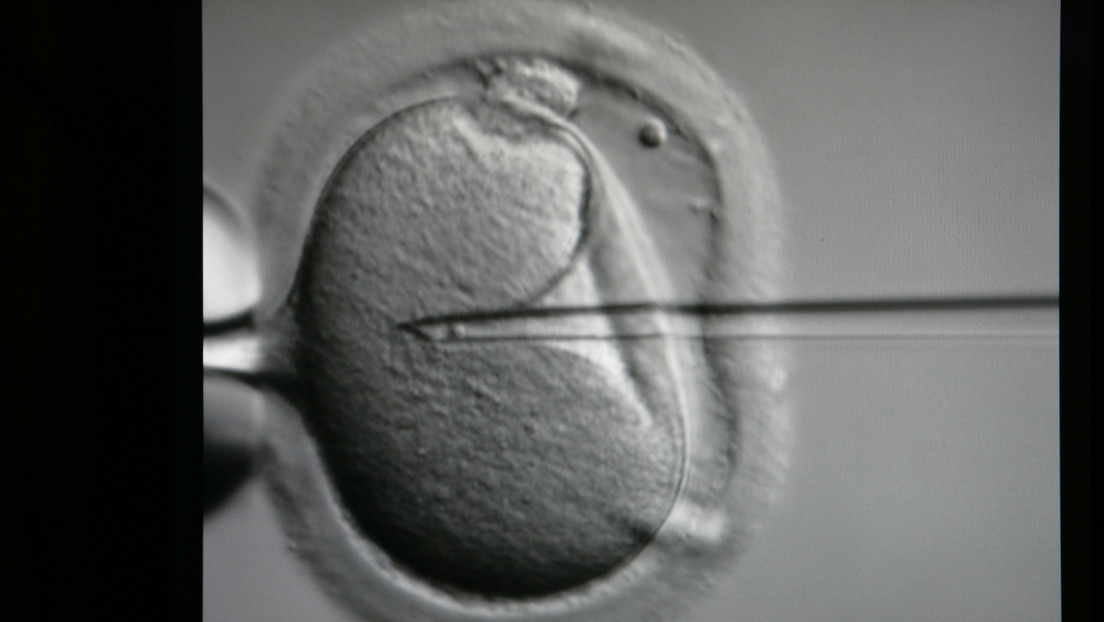 Großbritannien: Erstmals Babys mit DNA von drei Menschen mittels neuer IVF-Technologie geboren