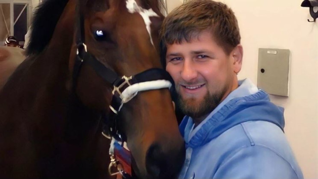 Kadyrow und sein Pferd: Hat es der ukrainische Geheimdienst für ihn aus Tschechien geschmuggelt?