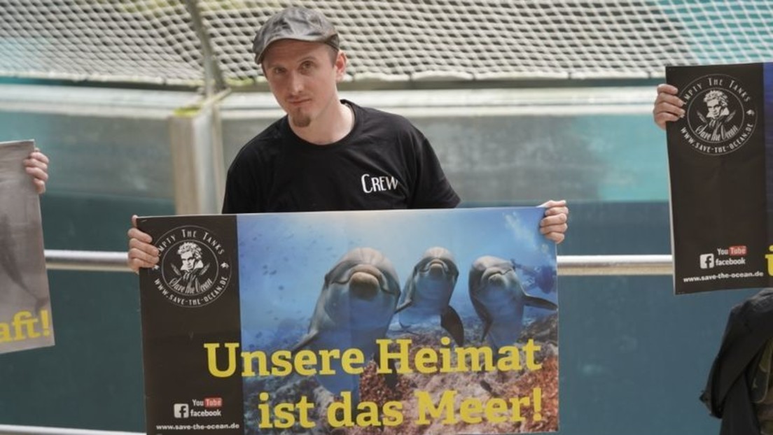 "Unsere Heimat ist das Meer!" – Tierschützer protestieren im Duisburger Delfinarium